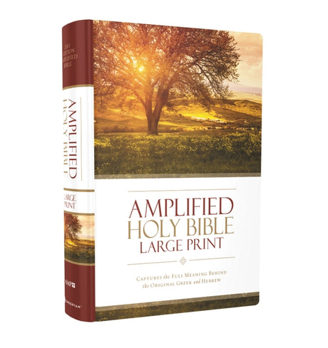 Amplified Bible-Am-Large Print: Captures the Full Meaning Behind the Original Greek and Hebrew -- Zondervan, Bible