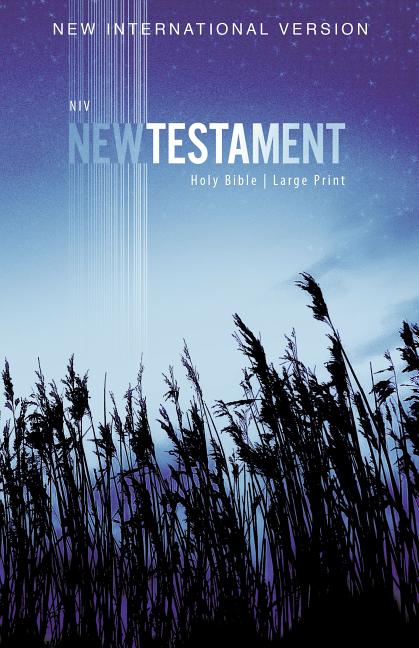 NIV, Outreach New Testament, Large Print, Paperback -- Zondervan, Bible
