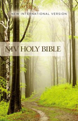 NIV, Value Outreach Bible, Paperback -- Zondervan, Bible