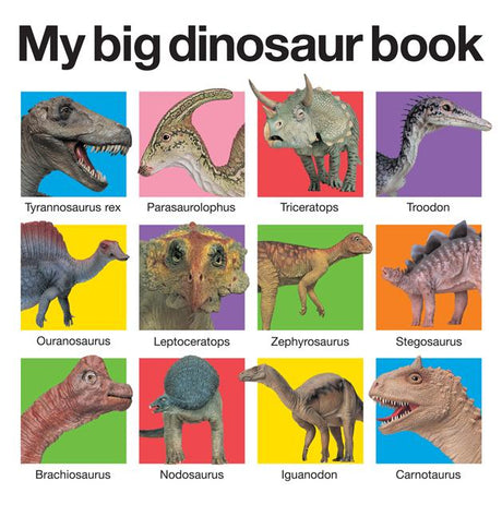 My Big Dinosaur Book -- Roger Priddy, Board Book