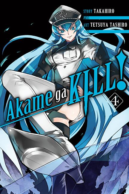 Akame Ga Kill!, Vol. 4 -- Takahiro, Paperback