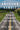American Ramble: A Walk of Memory and Renewal by King, Neil
