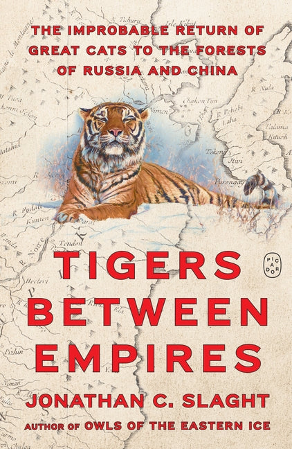 Tigers Between Empires: The Improbable Return of Great Cats to the Forests of Russia and China by Slaght, Jonathan C.