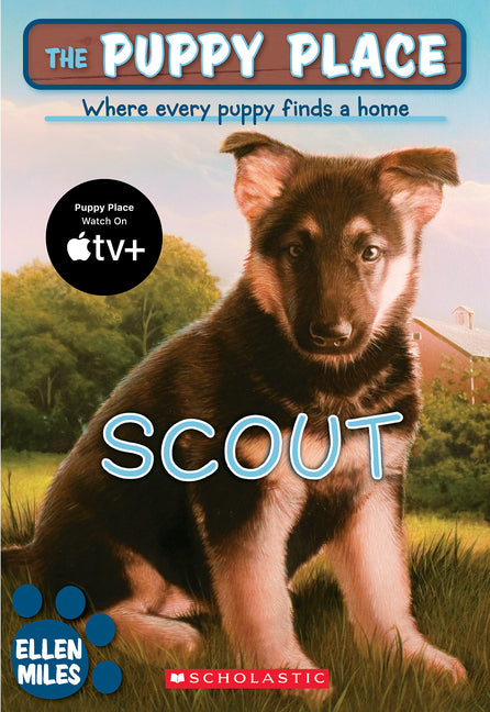 The Puppy Place #7: Scout: Volume 7 -- Ellen Miles, Paperback