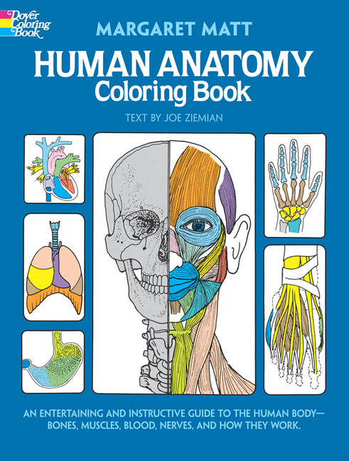 Human Anatomy Coloring Book -- Margaret Matt, Paperback