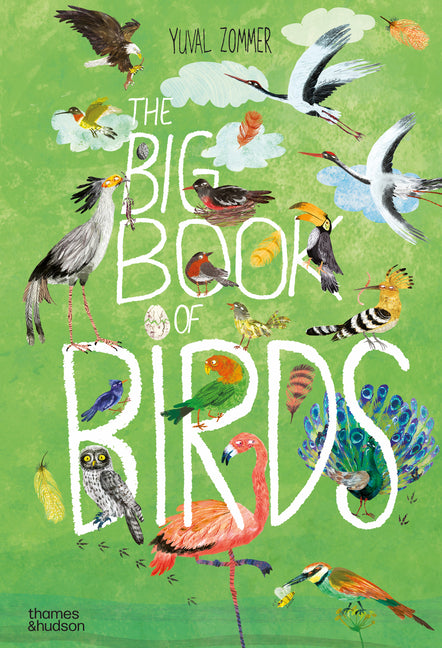 The Big Book of Birds -- Yuval Zommer, Hardcover