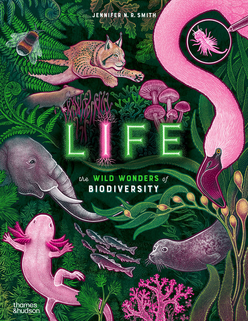 Life: The Wild Wonders of Biodiversity -- Jennifer N. R. Smith, Hardcover