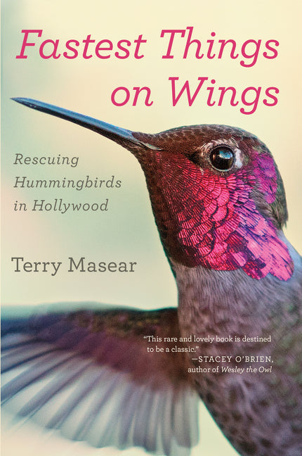 Fastest Things on Wings: Rescuing Hummingbirds in Hollywood -- Terry Masear, Paperback