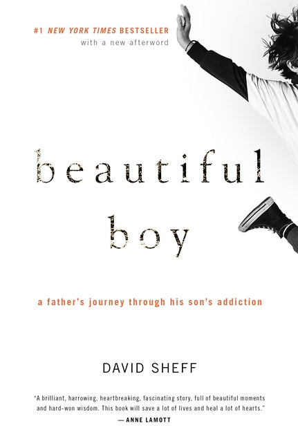 Beautiful Boy: A Father's Journey Through His Son's Addiction -- David Sheff, Paperback