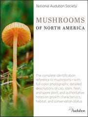 National Audubon Society Mushrooms of North America by National Audubon Society