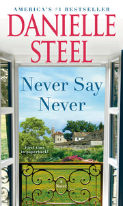 Never Say Never by Steel, Danielle