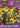 Teenage Mutant Ninja Turtles: Mutant Mayhem: Official Activity Book by Random House
