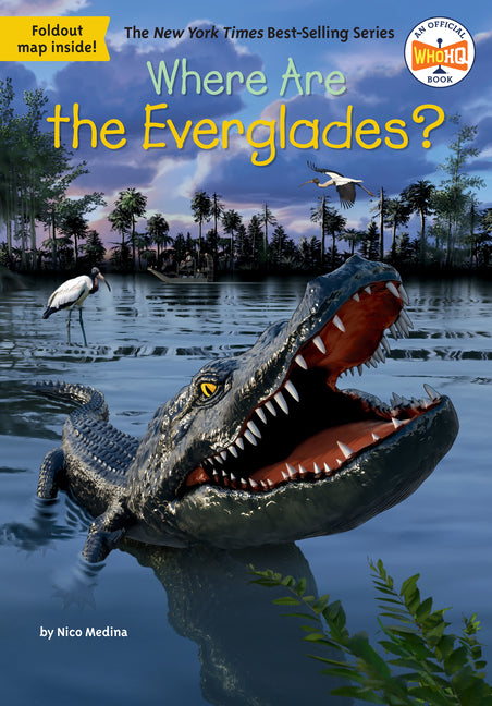 Where Are the Everglades? -- Nico Medina, Paperback