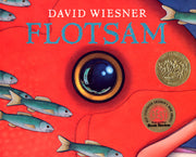 Flotsam by Wiesner, David