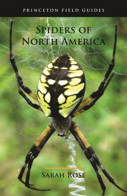 Spiders of North America -- Sarah Rose, Paperback