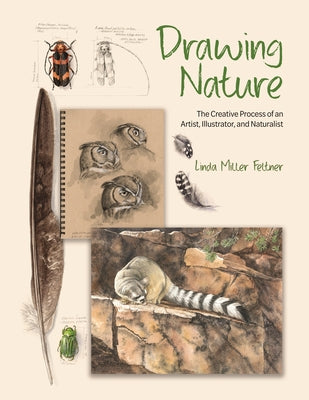 Drawing Nature: The Creative Process of an Artist, Illustrator, and Naturalist -- Linda Miller Feltner, Hardcover