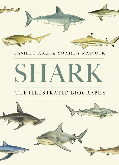 Shark: The Illustrated Biography -- Daniel C. Abel, Hardcover