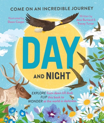 Day and Night: Come on an Incredible Journey by Turner, Tracey
