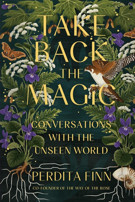 Take Back the Magic: Conversations with the Unseen World -- Perdita Finn, Paperback