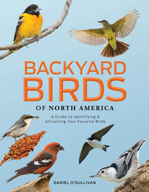 Backyard Birds of North America: A Guide to Identifying and Attracting Your Favorite Birds -- Daniel O'Sullivan, Hardcover