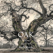 Oak: From Seed to Ancient Tree by Moon, Beth