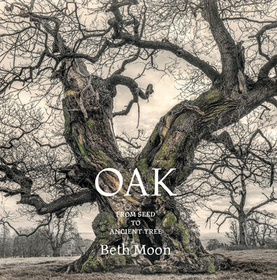 Oak: From Seed to Ancient Tree -- Beth Moon, Hardcover