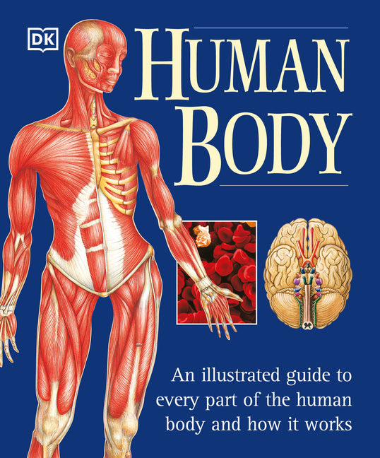The Human Body: An Illustrated Guide to Every Part of the Human Body and How It Works by Page, Martyn