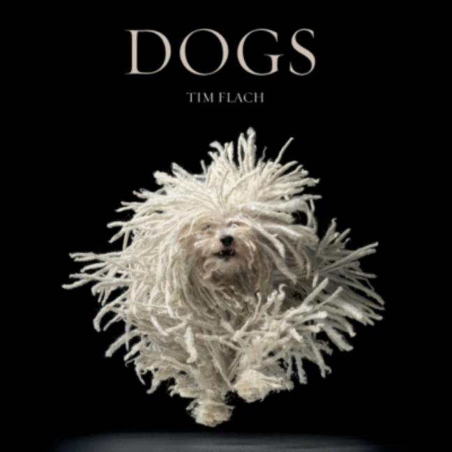 Dogs: Photographs -- Tim Flach, Hardcover