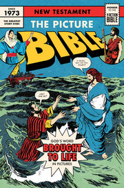 The Picture Bible New Testament by Hoth, Iva