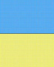 20 Interviews by Citarella, Joshua