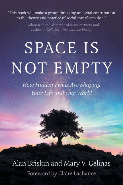 Space Is Not Empty: How Hidden Fields Are Shaping Your Life and Our World -- Alan Briskin, Paperback