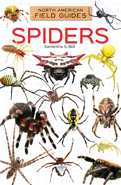 Spiders -- Samantha S. Bell, Library Binding