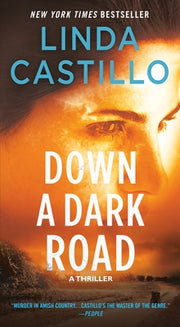 Down a Dark Road: A Kate Burkholder Novel by Castillo, Linda