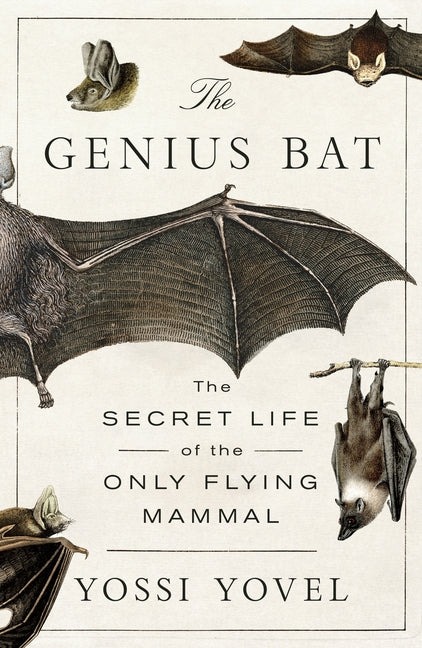 The Genius Bat: The Secret Life of the Only Flying Mammal -- Yossi Yovel, Paperback