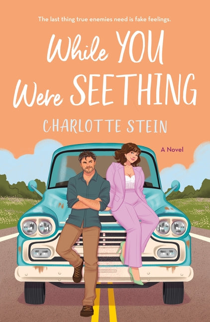 While You Were Seething -- Charlotte Stein, Paperback