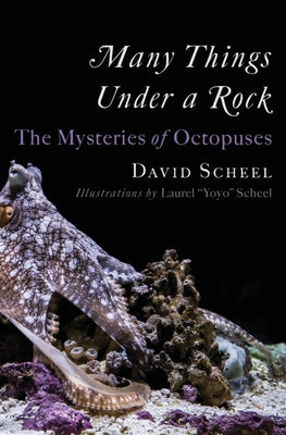 Many Things Under a Rock: The Mysteries of Octopuses -- David Scheel, Hardcover