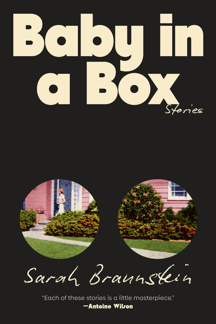 Baby in a Box: Stories -- Sarah Braunstein, Paperback