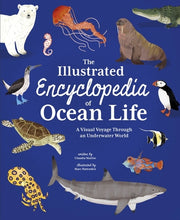 The Illustrated Encyclopedia of Ocean Life: A Visual Voyage Through an Underwater World by Martin, Claudia