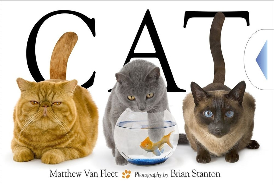 Cat -- Matthew Van Fleet, Hardcover