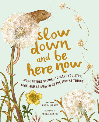 Slow Down and Be Here Now: More Nature Stories to Make You Stop, Look, and Be Amazed by the Tiniest Things by Brand, Laura