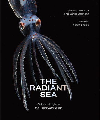 The Radiant Sea: Color and Light in the Underwater World -- Steven Haddock, Hardcover