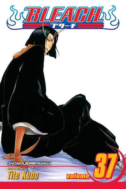 Bleach, Vol. 37: Beauty Is So Solitary -- Tite Kubo, Paperback