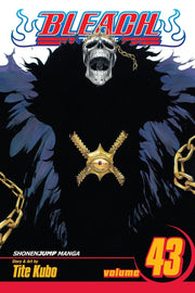 Bleach, Vol. 43: Volume 43 by Kubo, Tite