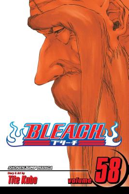 Bleach, Vol. 58: The Fire -- Tite Kubo, Paperback
