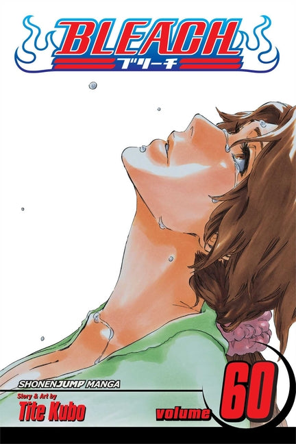 Bleach, Vol. 60: Everything But the Rain -- Tite Kubo, Paperback
