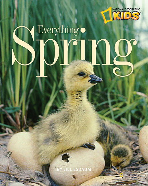Everything Spring by Esbaum, Jill