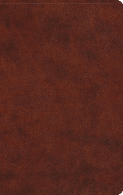 Large Print Value Thinline Bible-ESV -- Esv Bibles, Bible