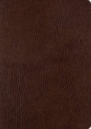 ESV Single Column Journaling Bible, Large Print (Mocha) by
