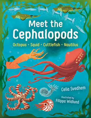 Meet the Cephalopods: Octopus, Squid, Cuttlefish, Nautilus by Svedhem, Celia