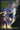 Lodestar, 5 by Messenger, Shannon